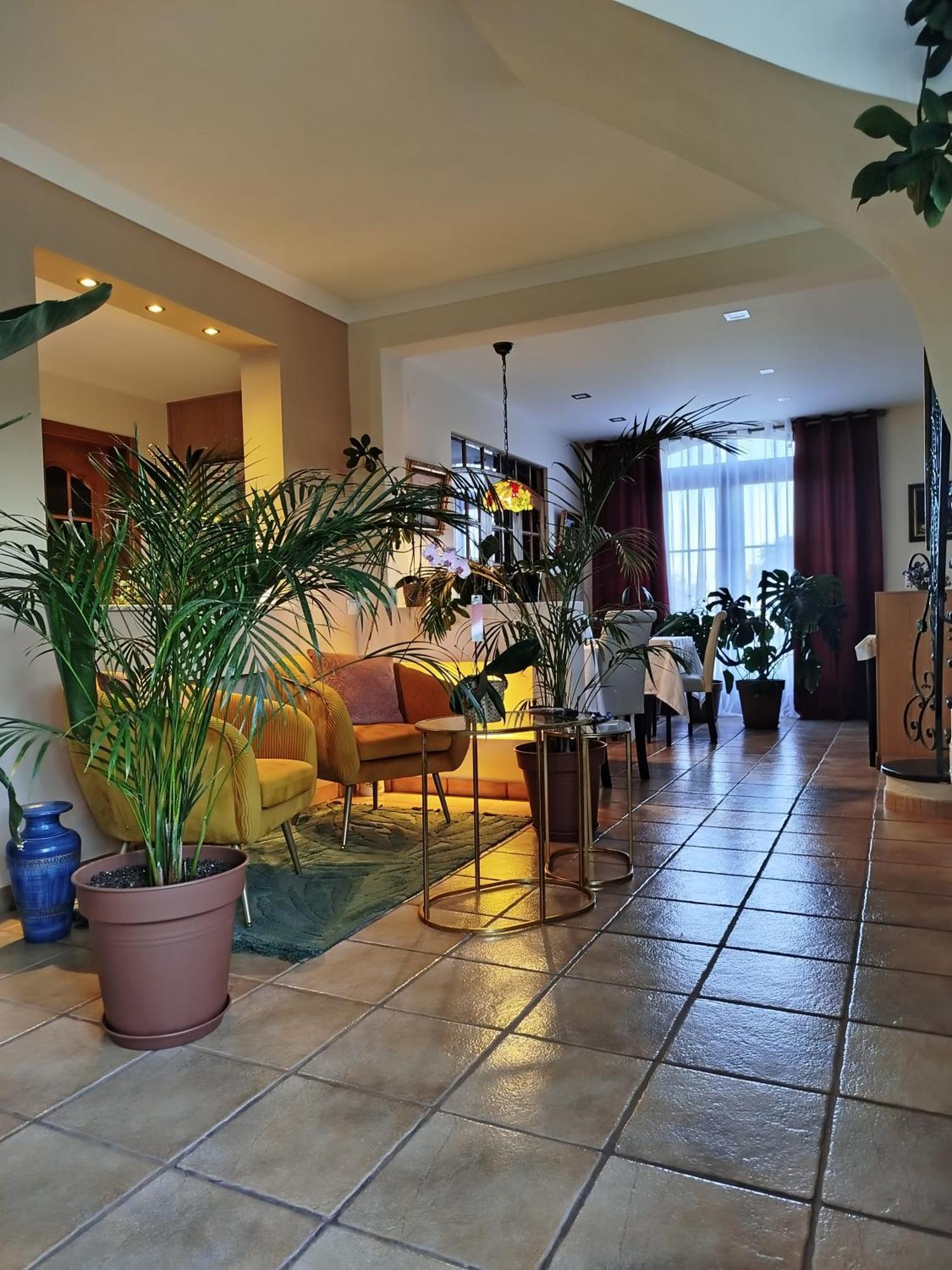 فندق Elodie'S Country House - Alojamento Local Grândola المظهر الخارجي الصورة